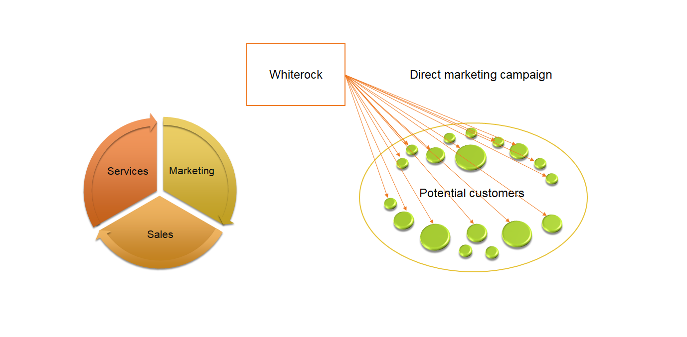 MarketingBuzz Technology Direct Marketing - Direct marketing campaigns